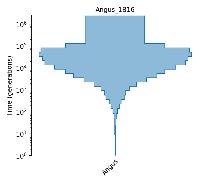 _images/sec_catalog_bostau_models_angus_1b16.png